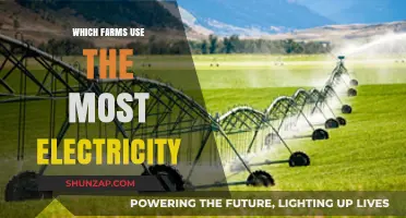 Electricity-Intensive Farms: Uncovering the Top Energy Consumers in Agriculture