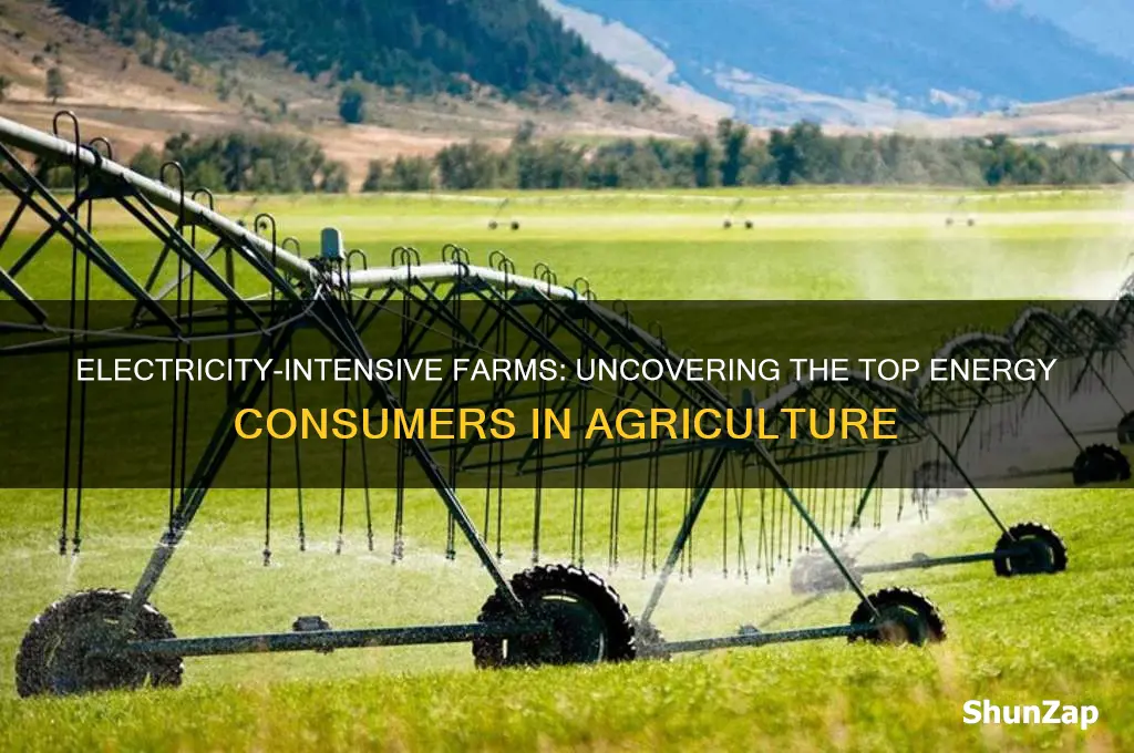 which farms use the most electricity