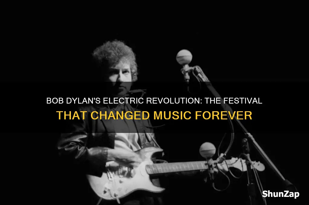 which festival did bob dylan used his first electric guitar