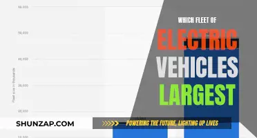 The World's Largest Electric Vehicle Fleet: A Global Comparison