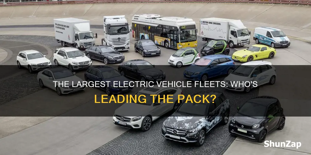 which fleet of electric vehicles largest