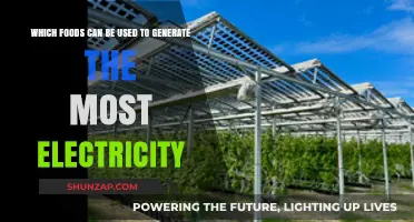 Power Up Your Life: Top Foods for Electricity Generation
