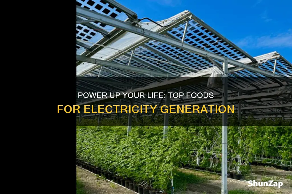 which foods can be used to generate the most electricity