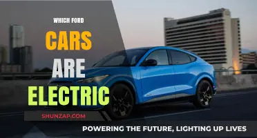 Discover Ford's Electric Lineup: Eco-Friendly Models Shaping the Future