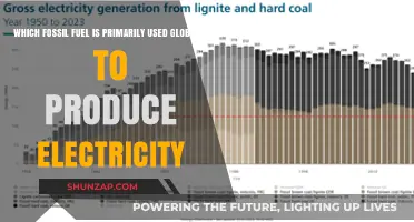 Global Electricity Production: The Dominant Fossil Fuel Powering the World