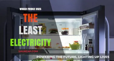 Energy-Efficient Refrigerators: Top Picks for Lowest Electricity Consumption