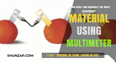 Fruits as Power Sources: Which Generates the Most Electricity?