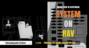 Electrical System Fuses: A Comprehensive Guide for RAV Owners