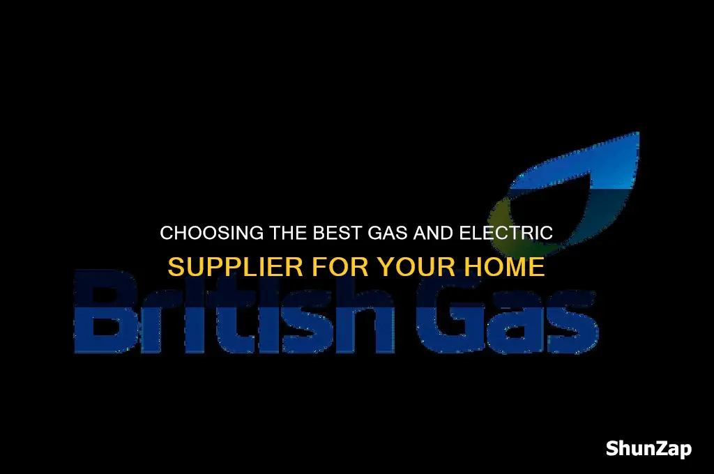 which gas and electric supplier should i use