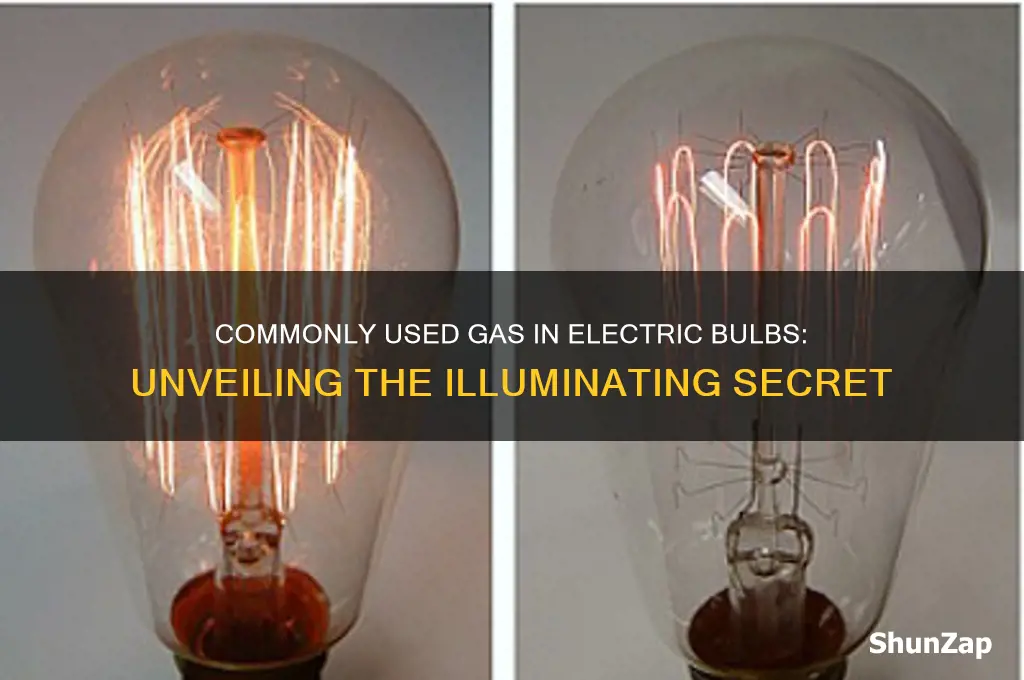 which gas is commonly used in electric bulbs
