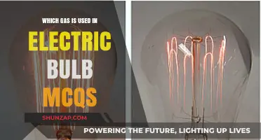 Electric Bulb MCQs: Unveiling the Gas Inside for Illumination