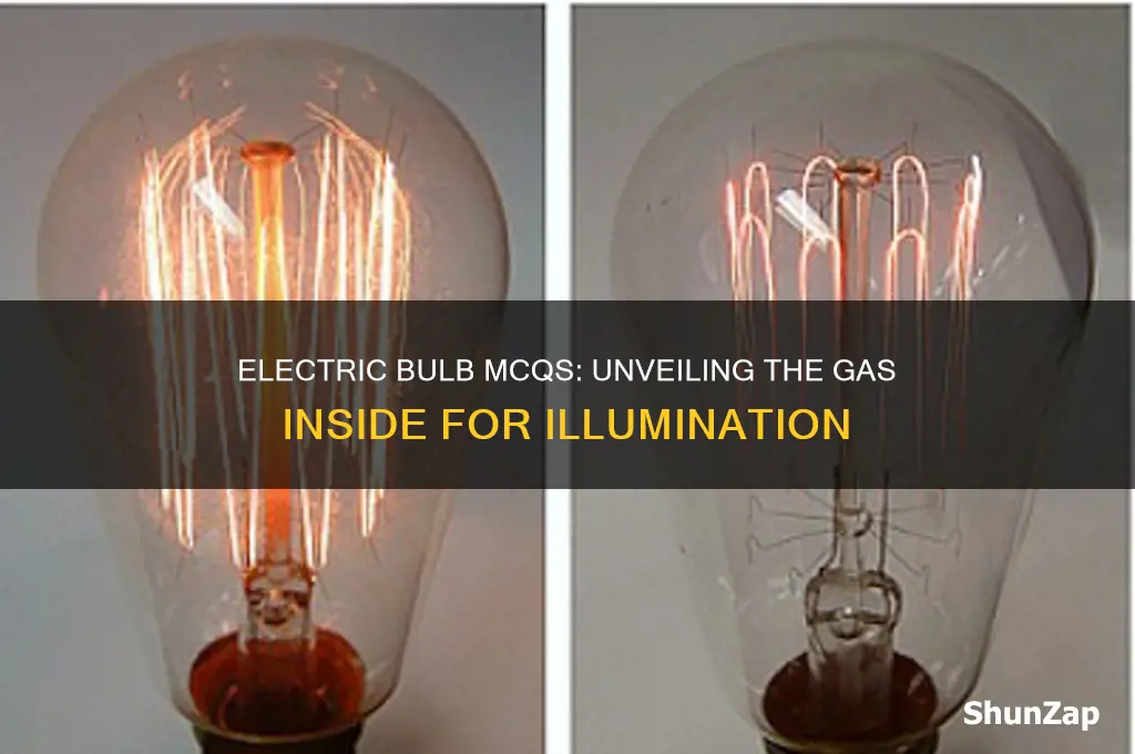 which gas is used in electric bulb mcqs