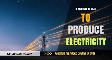 Powering the Grid: Exploring the Gas Behind Electricity Generation