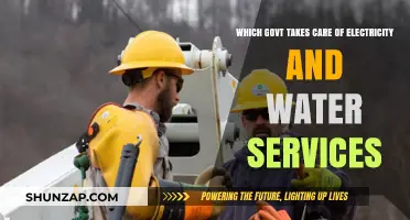Understanding Government Roles in Managing Electricity and Water Services