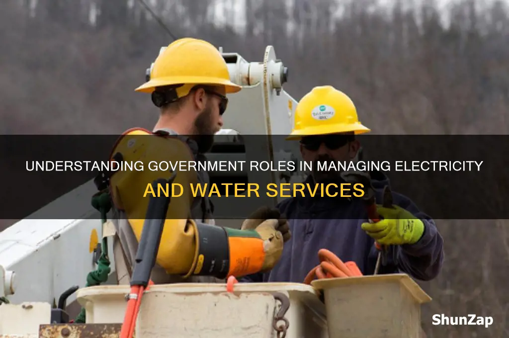 which govt takes care of electricity and water services