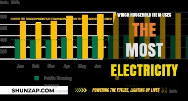 Uncovering the Biggest Energy Hog: Which Household Item Uses the Most Electricity?