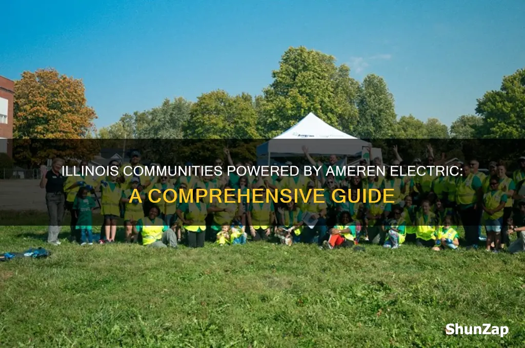 which illinois communities use ameren electric