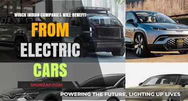 Indian Companies Poised to Gain from the Electric Vehicle Revolution
