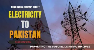 Powering Pakistan: The Indian Company's Role in Energy Supply