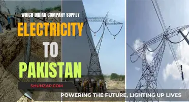 The Power Play: India-Pakistan's Electric Connection