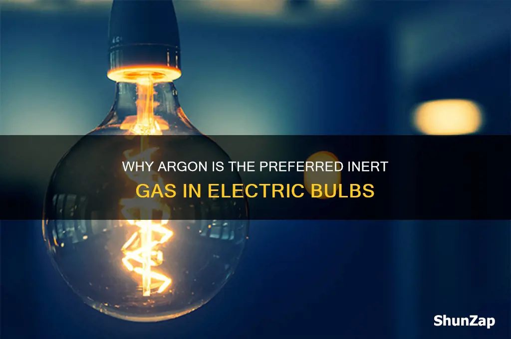 which inert gas is used in electric bulb