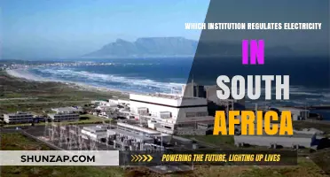 Who Controls South Africa's Electricity Supply?