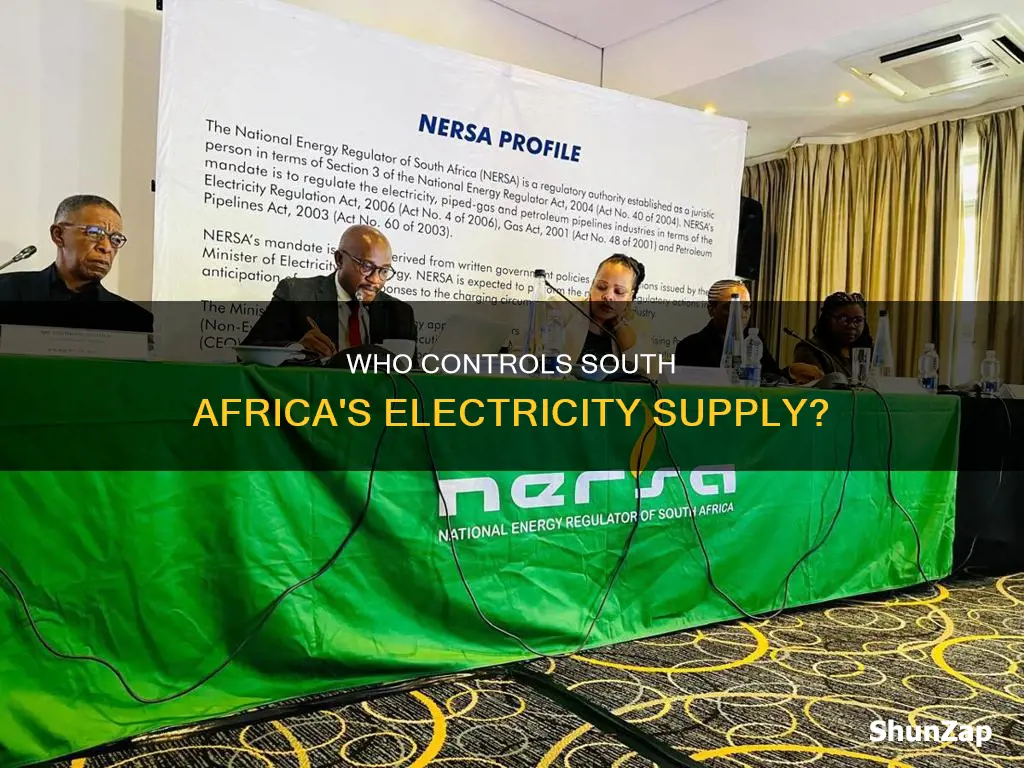 which institution regulates electricity in south africa