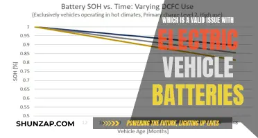 Electric Vehicle Batteries: Navigating Range Anxiety and Long-Term Degradation Concerns