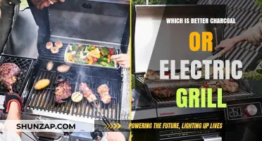 Charcoal vs Electric Grills: Pros, Cons, and Best Choice