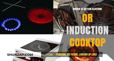 Electric vs Induction: Revolutionizing Your Cooking Experience