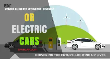 Hydrogen vs. Electric Cars: Which Eco-Friendly Option Wins?