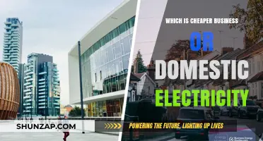 Business or Domestic Electricity: Who Pays Less?