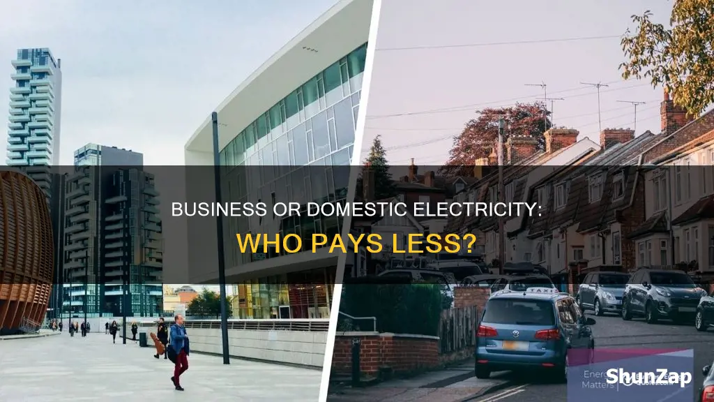 which is cheaper business or domestic electricity