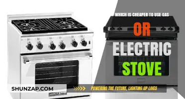 Gas vs. Electric Stove: Which Saves You More Money?