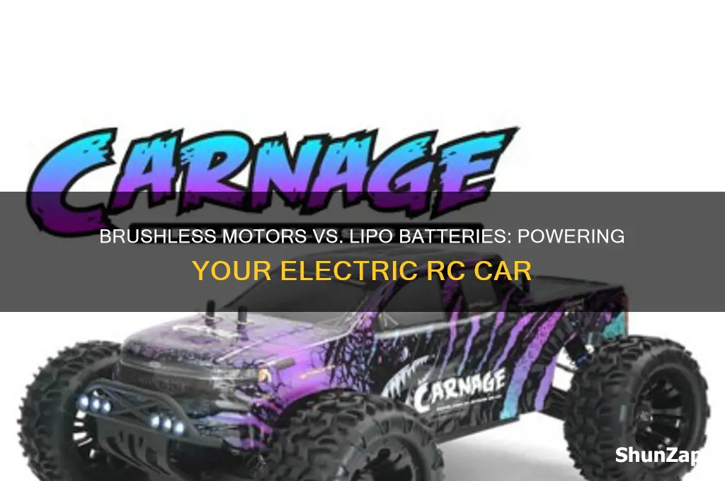 which is electric rc car brushless motor or lipo battery