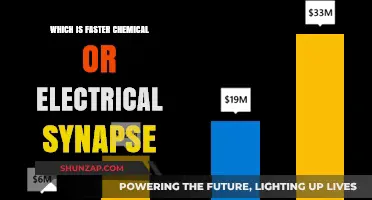 Chemical vs Electrical Synapse: A Speed Comparison