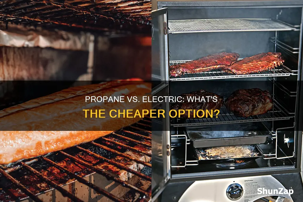 which is more economical propane or electric