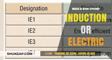 Induction vs Electric: Which is the Superior Energy Source?