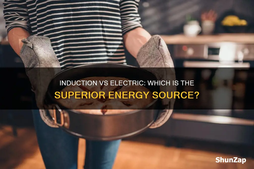 which is more efficient induction or electric