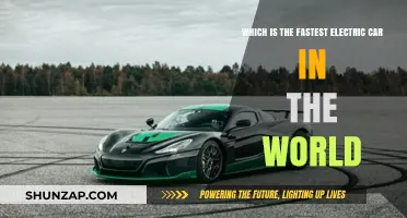 Speeding into the Future: The World's Fastest Electric Car Revealed