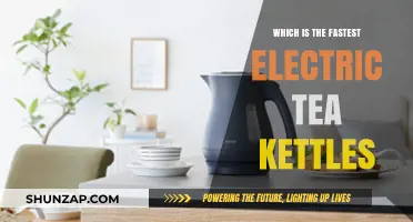 Rapid Boiling: Electric Kettles for Quick Tea