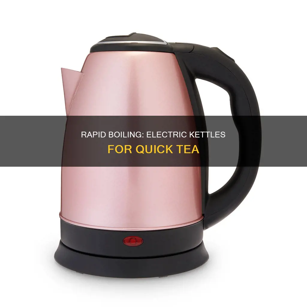 which is the fastest electric tea kettles