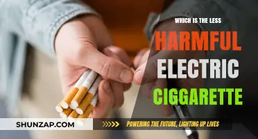 Electric Cigarettes: Harm Reduction or Health Risk?