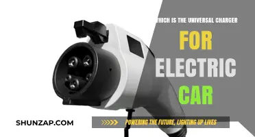 Universal Electric Car Charger: The Future of EV Charging Simplified