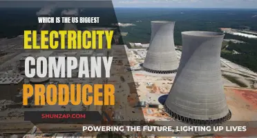 Unveiling America's Top Power Producer: A Comprehensive Analysis