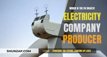 US Electricity Giant: Who's Leading the Pack?