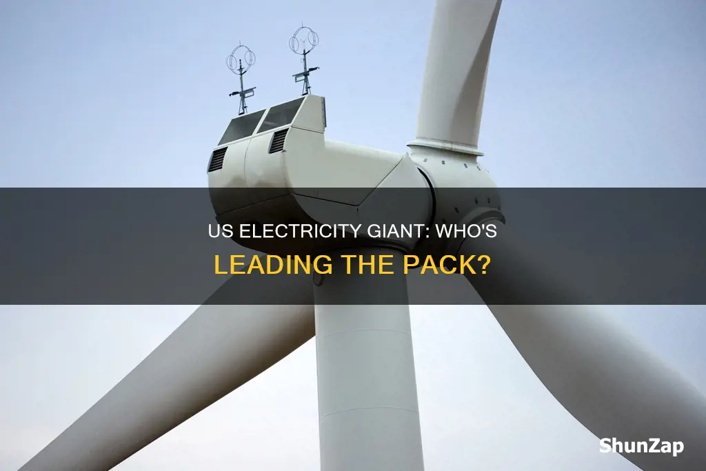 which is the us biggest electricity company producer