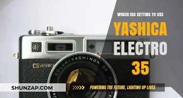 Mastering ISO Settings on Your Yashica Electro 35 for Perfect Shots