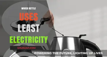 Energy-Efficient Kettles: Discover the Lowest Electricity-Consuming Models
