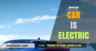 Discover Kia's Electric Lineup: Which Model Fits Your Eco-Friendly Lifestyle?